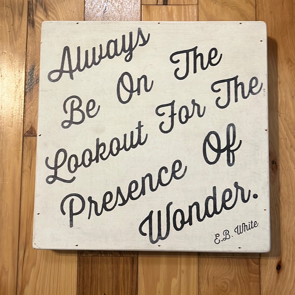 Sugarboo wall art 12” square in size